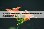 乒乓球胶皮种类知识，乒乓球胶皮分为哪几种,分别性能是什么