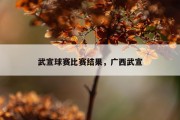武宣球赛比赛结果，广西武宣