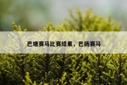 巴塘赛马比赛结果，巴扬赛马