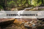 羽毛球球知识，羽毛球基本知识汇总