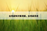 台球桌知识集球器，台球桌系统
