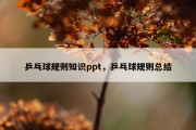 乒乓球规则知识ppt，乒乓球规则总结