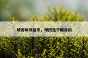 球团知识题库，球团是干嘛用的