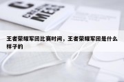 王者荣耀军团比赛时间，王者荣耀军团是什么样子的