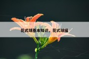 花式球基本知识，花式球操