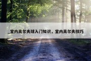 _室内高尔夫球入门知识，室内高尔夫技巧