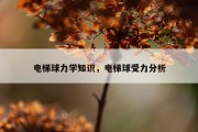 电梯球力学知识，电梯球受力分析