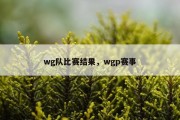 wg队比赛结果，wgp赛事