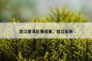 怒江普洱比赛结果，怒江名茶