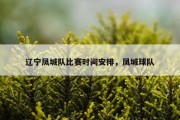 辽宁凤城队比赛时间安排，凤城球队