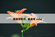 戴森球知识，戴森球 suha