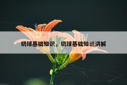 切球基础知识，切球基础知识讲解