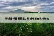 聊城排球比赛结果，聊城哪里有教排球的