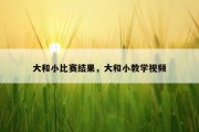 大和小比赛结果，大和小教学视频