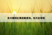 东兴踢球比赛结果查询，东兴足球场