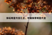 体坛明星代言汇总，中国体育明星代言