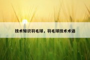 技术知识羽毛球，羽毛球技术术语