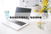 布纹球的养殖知识，布纹球种植