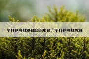 学打乒乓球基础知识视频，学打乒乓球教程