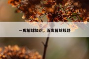 一库解球知识，五库解球线路