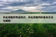 羽毛球裁判专业知识，羽毛球裁判的基本方法与规则