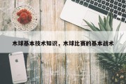 木球基本技术知识，木球比赛的基本战术