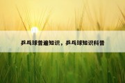 乒乓球普遍知识，乒乓球知识科普