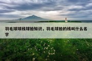 羽毛球球线球拍知识，羽毛球拍的线叫什么名字
