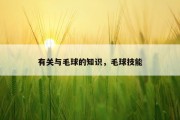 有关与毛球的知识，毛球技能