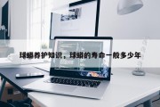 球蟒养护知识，球蟒的寿命一般多少年
