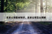 足彩让球基本知识，足彩让球怎么理解