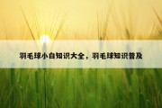 羽毛球小白知识大全，羽毛球知识普及