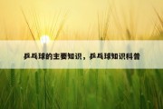 乒乓球的主要知识，乒乓球知识科普