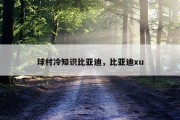 球村冷知识比亚迪，比亚迪xu