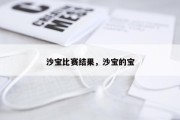 沙宝比赛结果，沙宝的宝