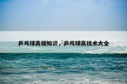 乒乓球高级知识，乒乓球高技术大全