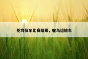 鸵鸟拉车比赛结果，鸵鸟运输车