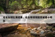 毛毛台球比赛结果，毛台带球球回家被猪小明怼