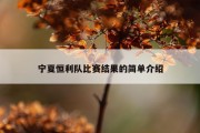 宁夏恒利队比赛结果的简单介绍