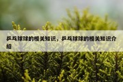 乒乓球球的相关知识，乒乓球球的相关知识介绍