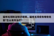 猫咪毛球防治知识视频，猫咪毛球症有哪些危害?怎么有效治疗?