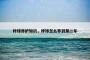 种球养护知识，种球怎么养到第二年