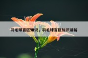 羽毛球盲区知识，羽毛球盲区知识讲解