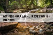 生菜球营养知识大全图片，生菜球营养知识大全图片视频