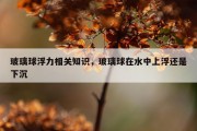 玻璃球浮力相关知识，玻璃球在水中上浮还是下沉