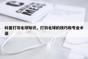 科普打羽毛球知识，打羽毛球的技巧和专业术语