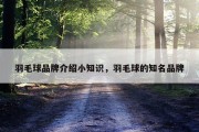羽毛球品牌介绍小知识，羽毛球的知名品牌