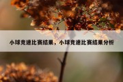 小球竞速比赛结果，小球竞速比赛结果分析