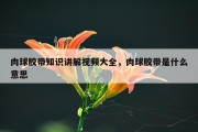 肉球胶带知识讲解视频大全，肉球胶带是什么意思