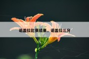 诺盖拉比赛结果，诺盖拉三分